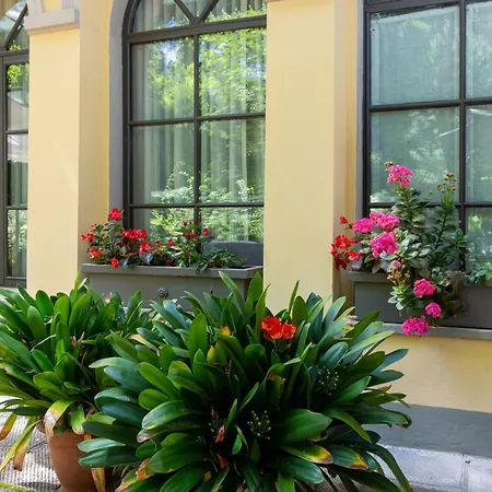Guesthost - Le Serre Di Galileo Apartment