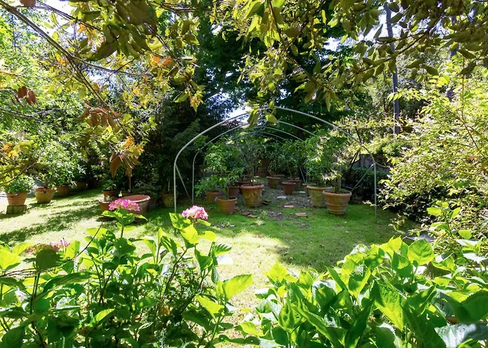 Guesthost - Le Serre Di Galileo 佛罗伦萨